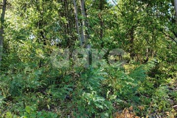 Фото №3: Земельный участок под ИЖС - Саратовская, мкр. 13-й квартал, 