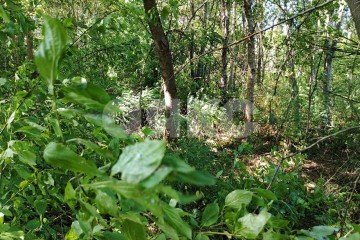 Фото №5: Земельный участок под ИЖС - Саратовская, мкр. 13-й квартал, 