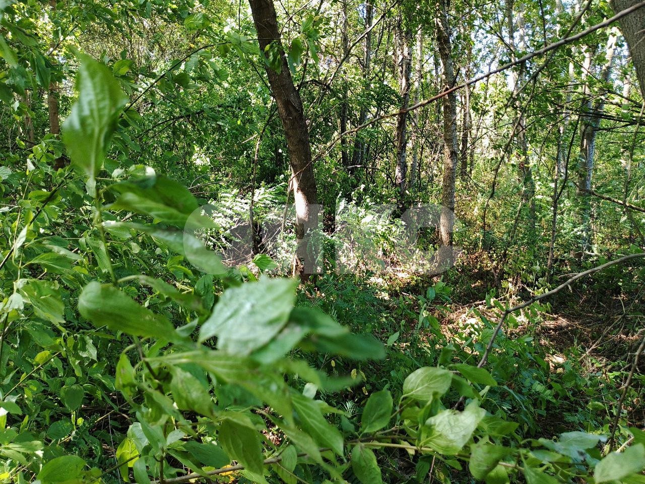 Фото №5: Земельный участок под ИЖС 10 сот. - Саратовская, 4-й, мкр. 13-й квартал