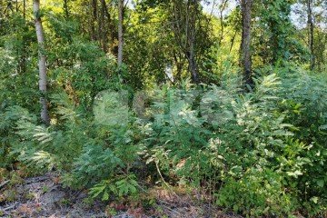 Фото №1: Земельный участок под ИЖС - Саратовская, мкр. 13-й квартал, 