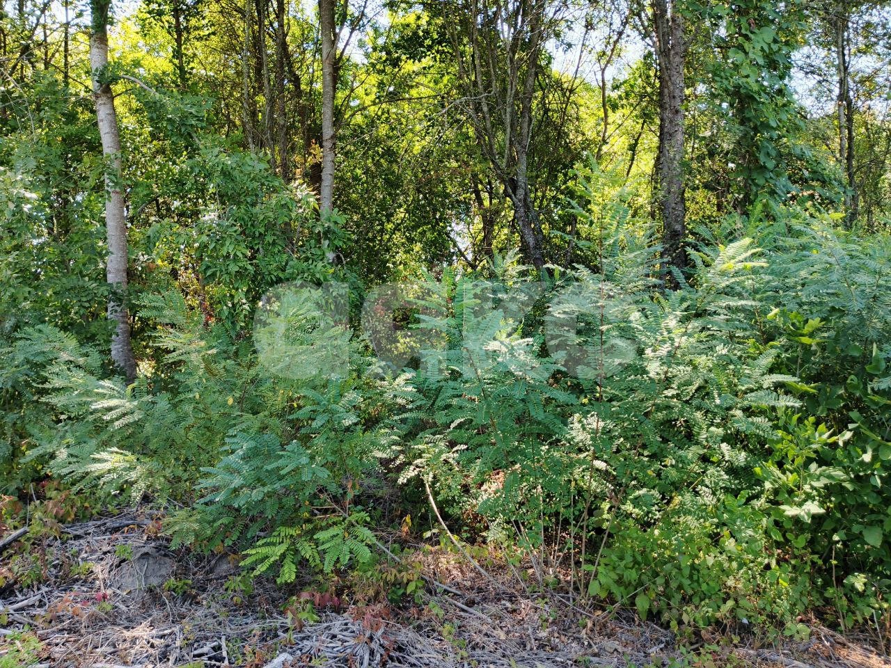 Фото №1: Земельный участок под ИЖС 10 сот. - Саратовская, 4-й, мкр. 13-й квартал