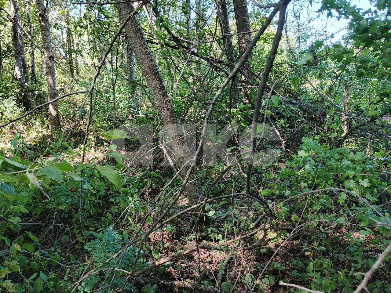 Фото №6: Земельный участок под ИЖС 10 сот. - Саратовская, 4-й, мкр. 13-й квартал