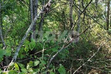 Фото №4: Земельный участок под ИЖС - Саратовская, мкр. 13-й квартал, 