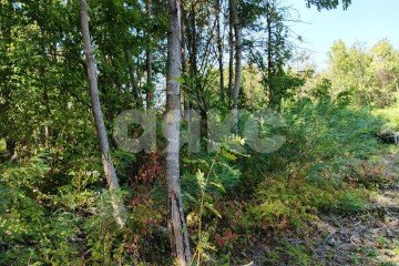 Фото №2: Земельный участок под ИЖС - Саратовская, мкр. 13-й квартал, 