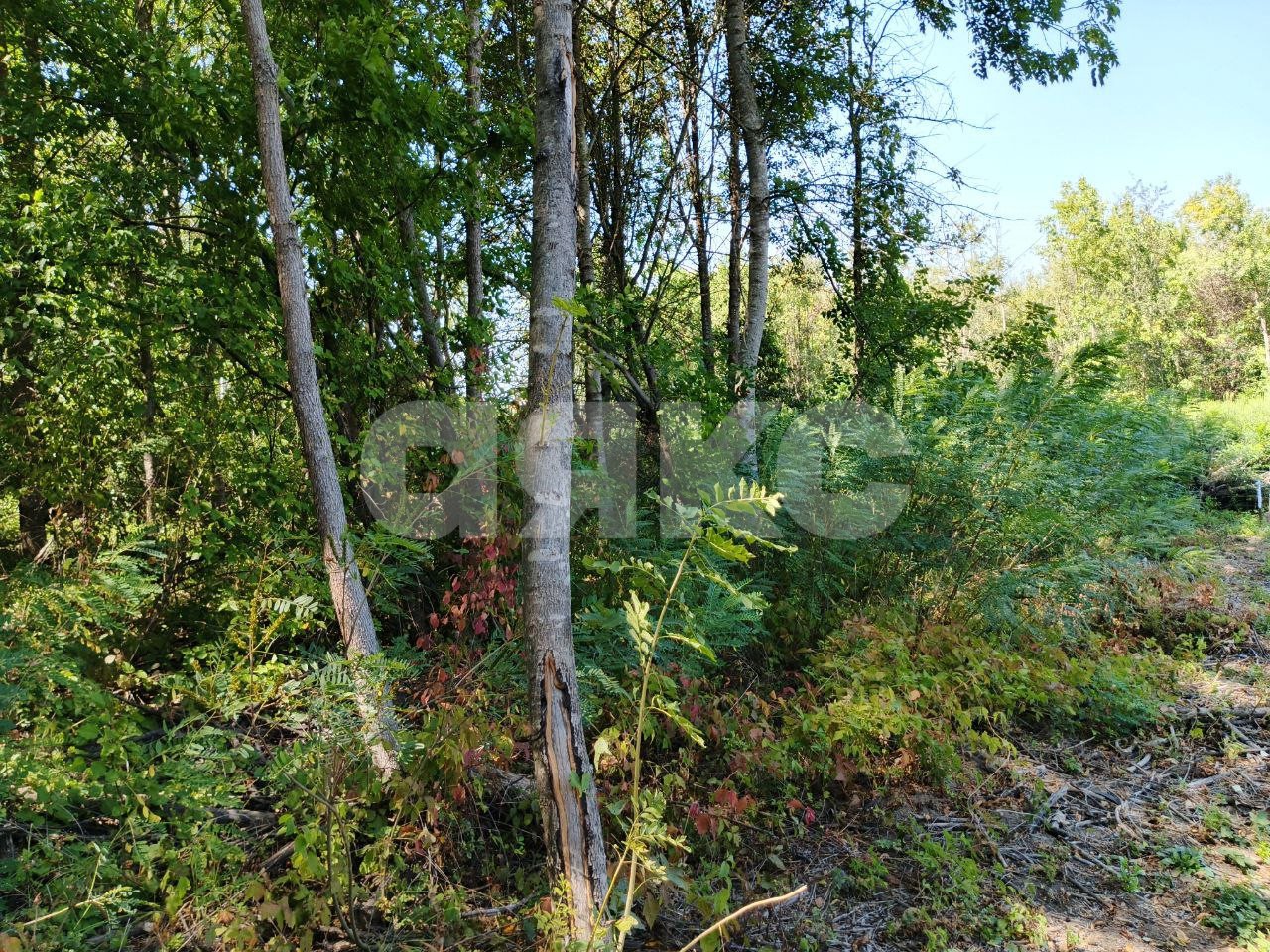 Фото №2: Земельный участок под ИЖС 10 сот. - Саратовская, 4-й, мкр. 13-й квартал