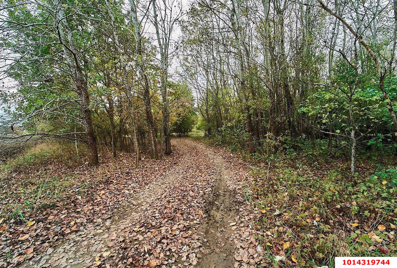 Фото №9: Земельный участок 6.05 сот. - Горячий Ключ, мкр. Городская Больница, ул. Красная, 5