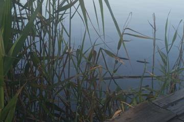 Фото №5: Дом 63 м² - Пролетарский, ул. Огородняя, 15