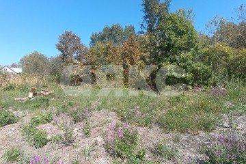 Фото №3: Участок садоводство - Мебельщик, 