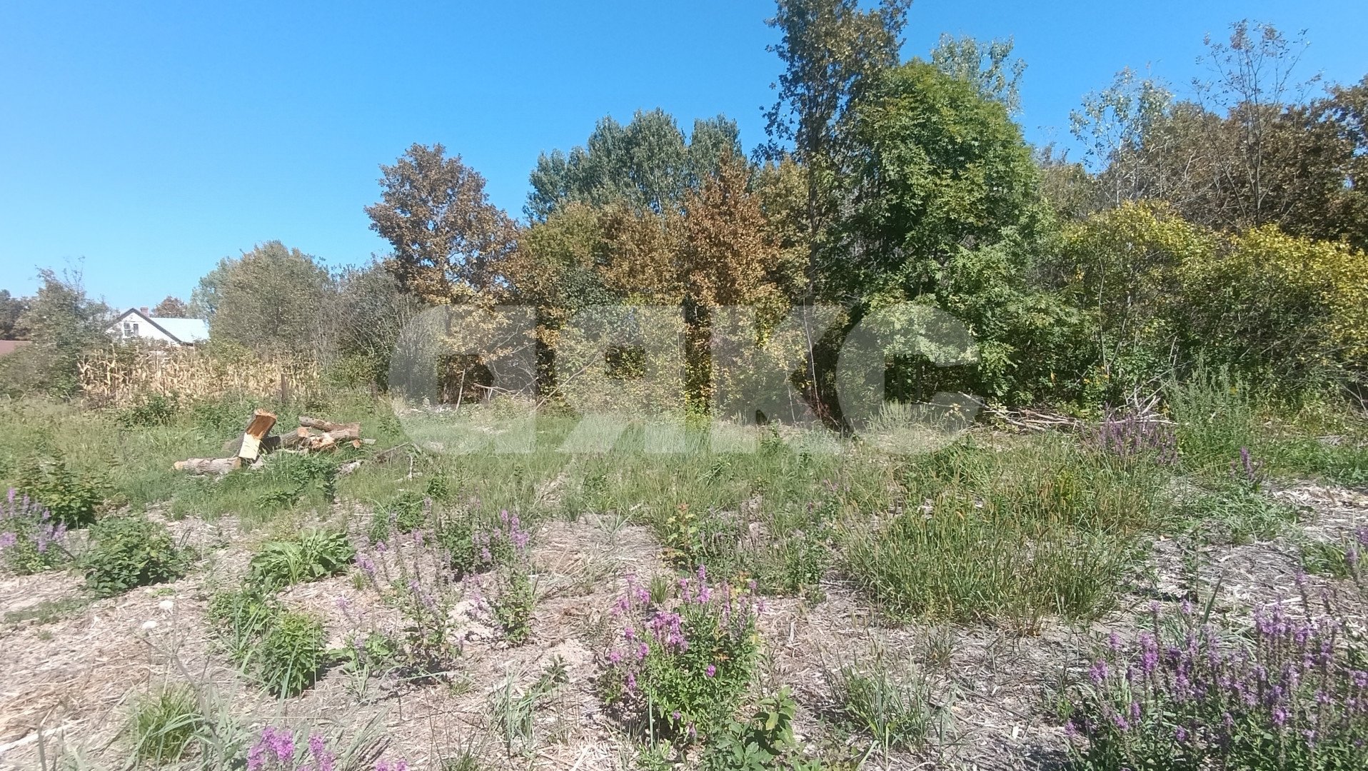 Фото №3: Участок садоводство 6 сот. - Мебельщик