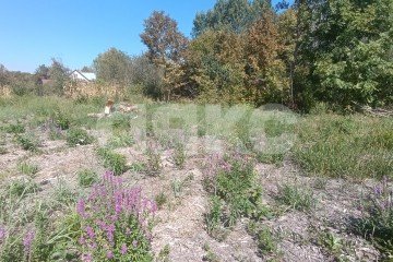 Фото №4: Участок садоводство - Мебельщик, 