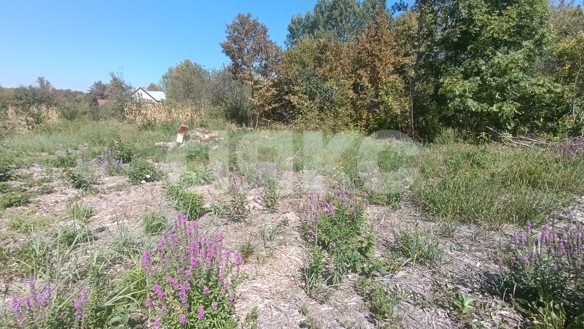 Фото №4: Участок садоводство 6 сот. - Мебельщик