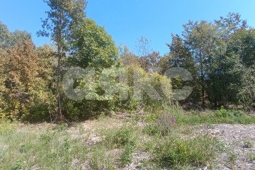 Фото №1: Участок садоводство - Мебельщик, 