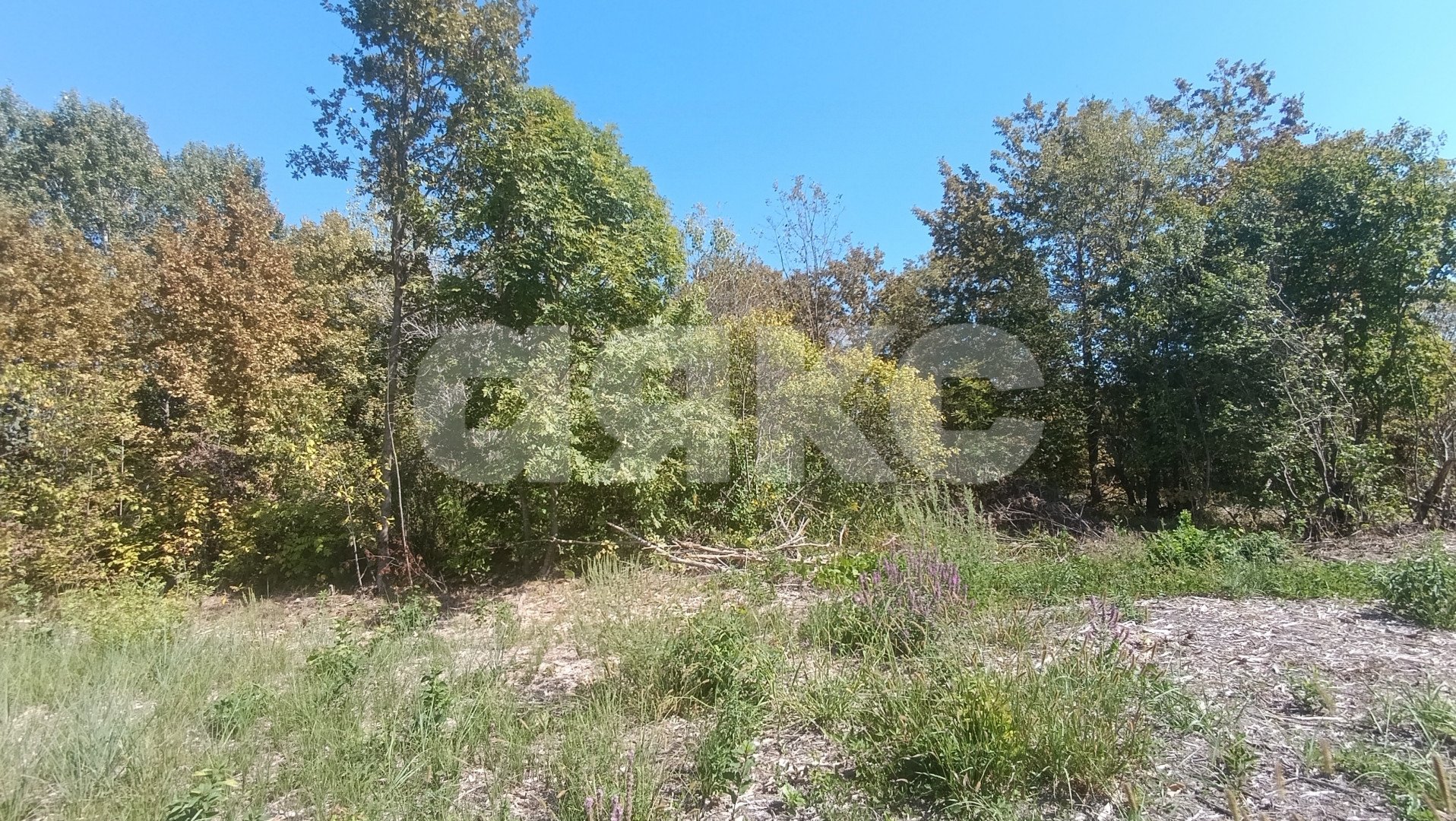 Фото №1: Участок садоводство 6 сот. - Мебельщик