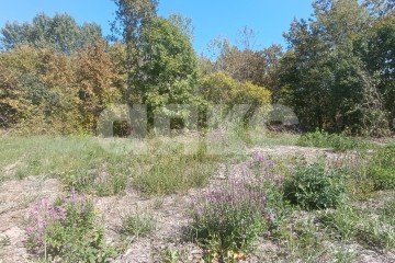 Фото №2: Участок садоводство - Мебельщик, 