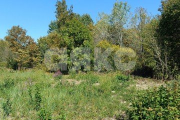 Фото №5: Участок садоводство - Мебельщик, 