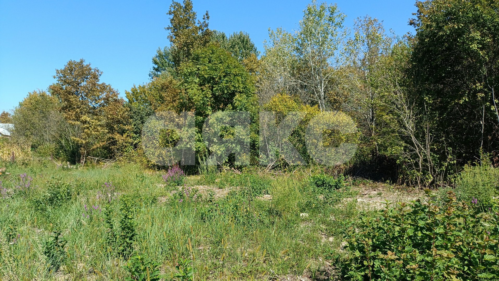 Фото №5: Участок садоводство 6 сот. - Мебельщик