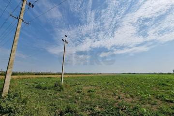 Фото №2: Коммерция 249 м² - Колос, ул. Будённого, 1