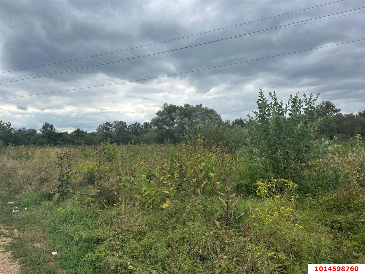 Фото №7: Коммерция 32 м² - Горячий Ключ