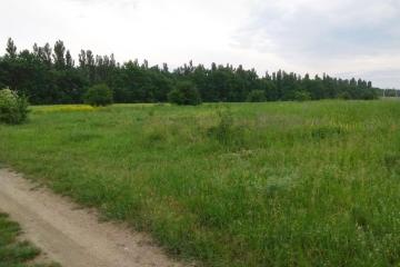 Фото №1: Коммерция 249 м² - Колос, ул. Будённого, 2