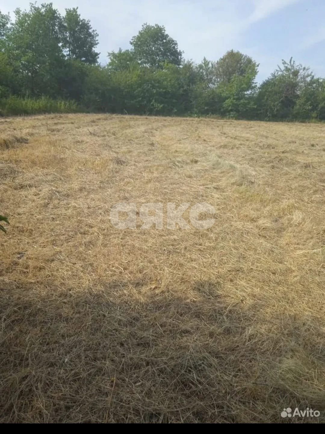 Фото №5: Земельный участок под ИЖС 40 сот. - Мартанская, ул. Северная