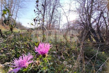 Фото №1: Земельный участок под ИЖС - Саратовская, мкр. 13-й квартал, 