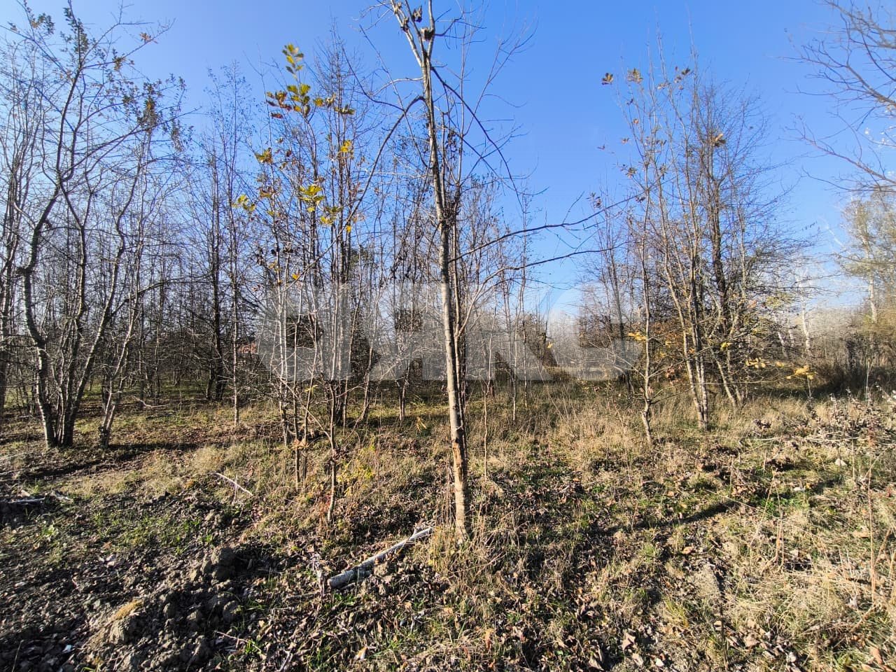 Фото №7: Земельный участок под ИЖС 8.84 сот. - Саратовская, 4-й, мкр. 13-й квартал