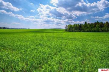 Фото №2: Земельный участок 4.8 сот. - Старомышастовская, ул. Цветочная, 57