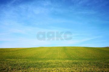 Фото №3: Земельный участок 4.8 сот. - Старомышастовская, ул. Цветочная, 57