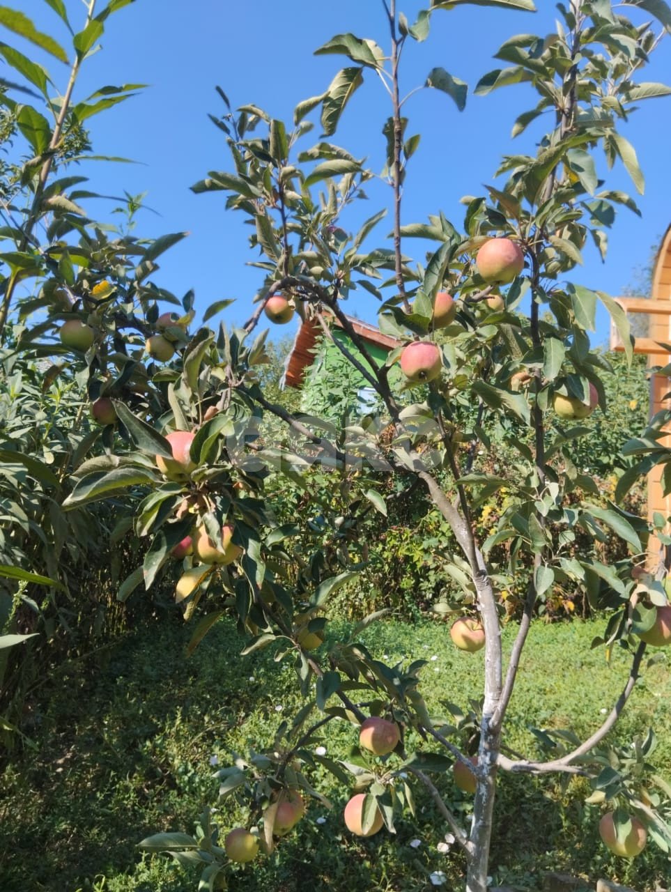 Фото №18: Дом 89 м² + 5.65 сот. - Горячий Ключ, Городская Больница, мкр. СТ Кунпанова Поляна, ул. Розовая