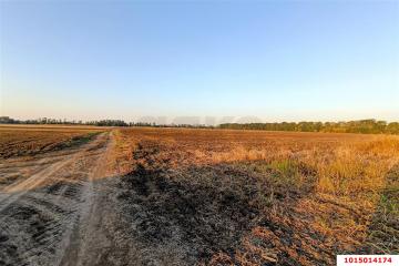 Фото №5: Коммерция 200 м² - Старокорсунская, мкр. Карасунский внутригородской округ, ул. Благодарная