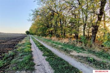 Фото №1: Коммерция 200 м² - Старокорсунская, мкр. Карасунский внутригородской округ, ул. Благодарная