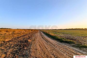 Фото №4: Коммерция 200 м² - Старокорсунская, мкр. Карасунский внутригородской округ, ул. Благодарная