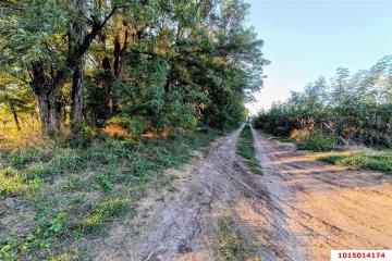 Фото №3: Коммерция 200 м² - Старокорсунская, мкр. Карасунский внутригородской округ, ул. Благодарная