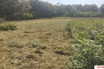 Фото №4: Коммерция 20 м² - Новоалексеевский, ул. Центральная, 10