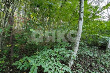 Фото №3: Дом 112 м² - Мирный, ул. Заречная