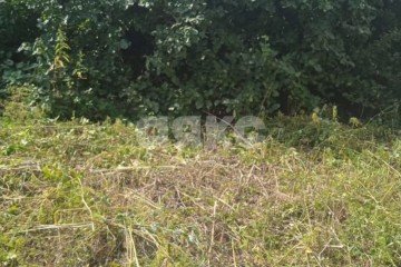 Фото №3: Земельный участок под ИЖС - Саратовская, п. коттеджный  Зеленая Усадьба, ул. Ореховая