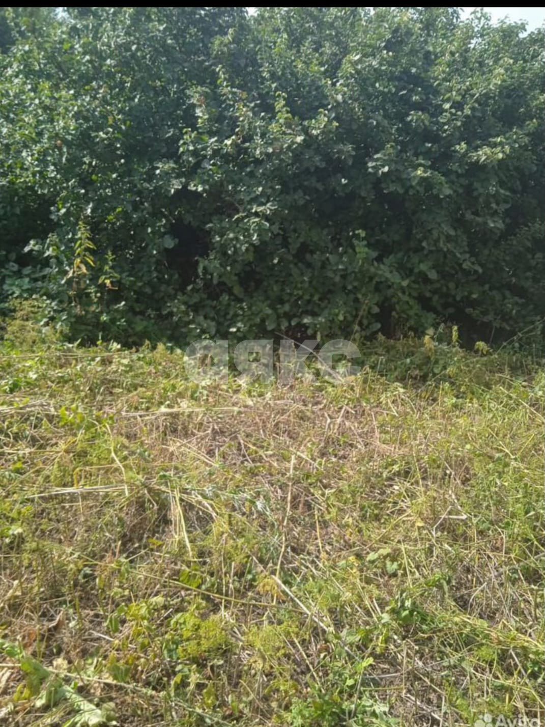 Фото №3: Земельный участок под ИЖС 6 сот. - Саратовская, коттеджный  Зеленая Усадьба, п. коттеджный  Зеленая Усадьба, ул. Ореховая