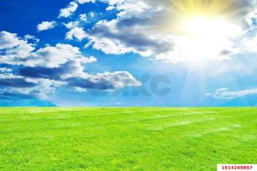 Фото №5: Коммерция 130 м² - Краснодарский край городской округ Новороссийск