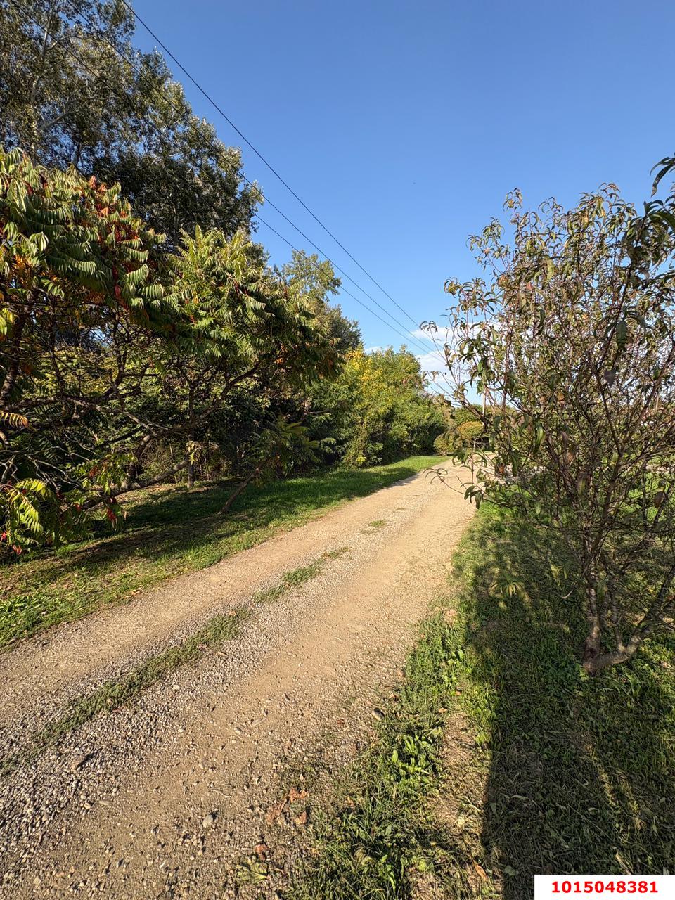 Фото №5: Дом 30 м² + 28 сот. - Саратовская, ул. Лермонтова, 37