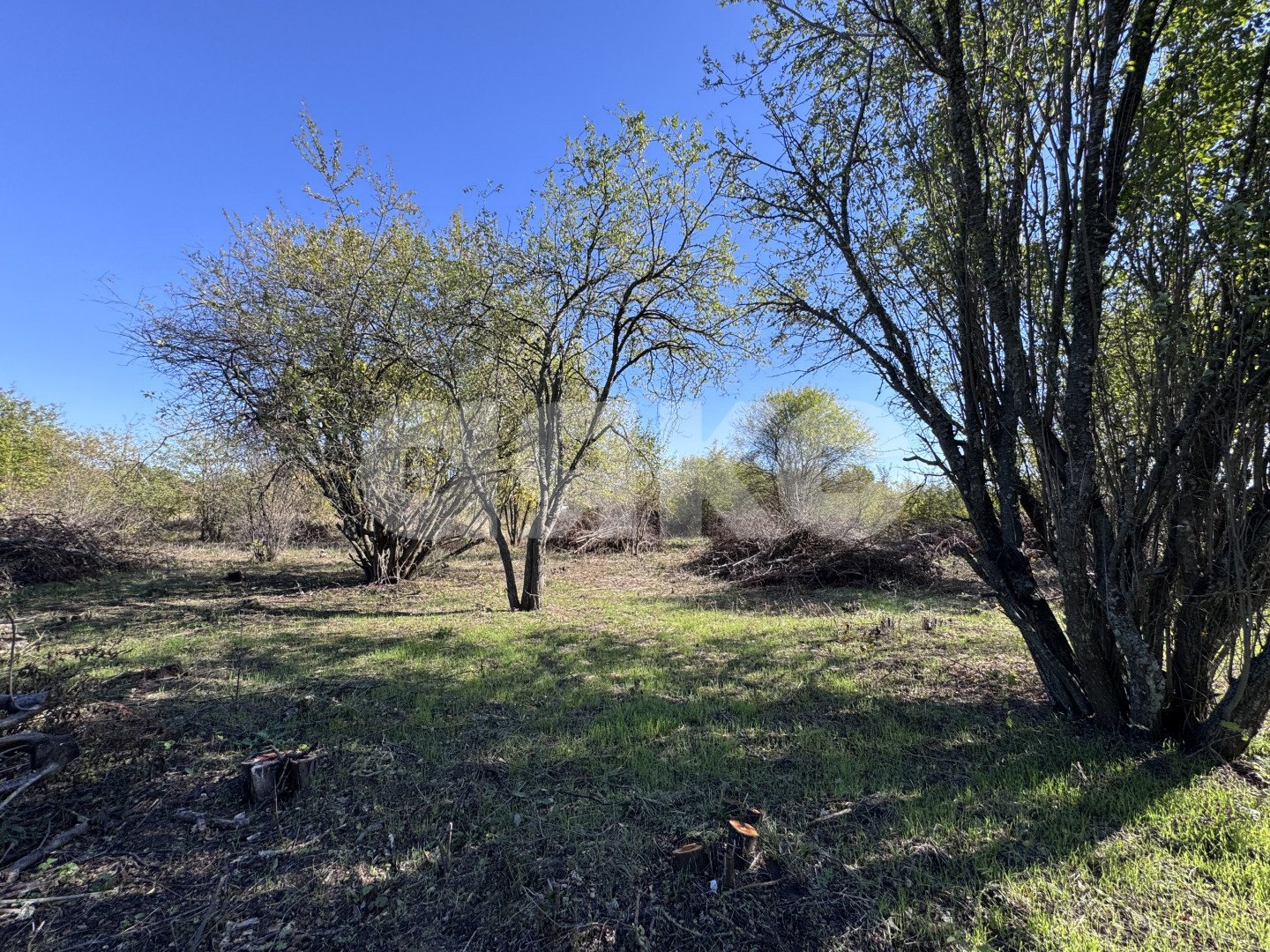 Фото №1: Дачное некоммерческое партнерство 8.2 сот. - Саратовская, Городская Больница, мкр. ЖК Горячий, ул. Табачная, 3Б