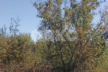 Фото №4: Дачное некоммерческое партнерство - Горячий Ключ, мкр. Администрация, 