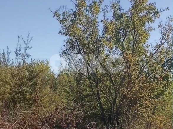 Фото №4: Дачное некоммерческое партнерство 7.2 сот. - Горячий Ключ