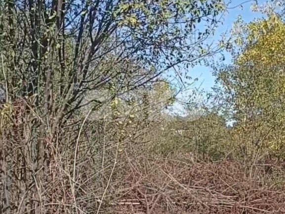 Фото №3: Дачное некоммерческое партнерство 7.2 сот. - Горячий Ключ