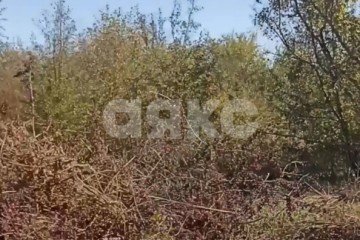 Фото №2: Дачное некоммерческое партнерство - Горячий Ключ, мкр. Администрация, 