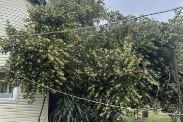 Фото №5: Дом 414 м² - Ольгинка, ул. Садовая, 1