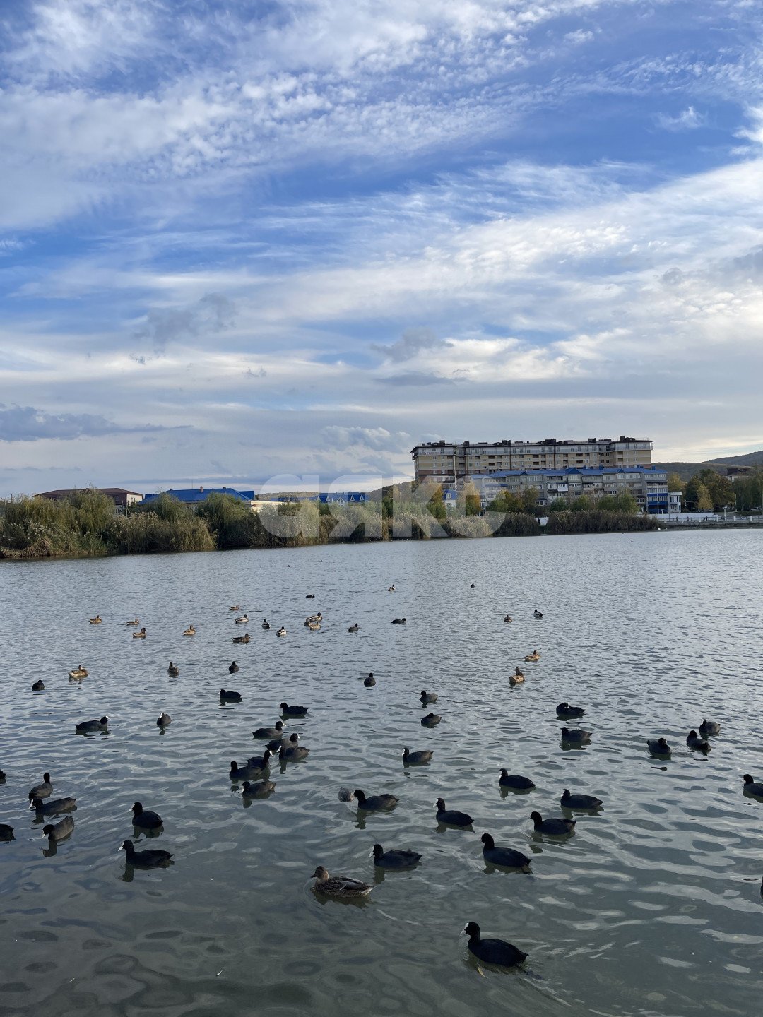 Фото №34: 3-комнатная квартира 98 м² - Горячий Ключ, Администрация, мкр. Администрация, ул. Псекупская, 151В