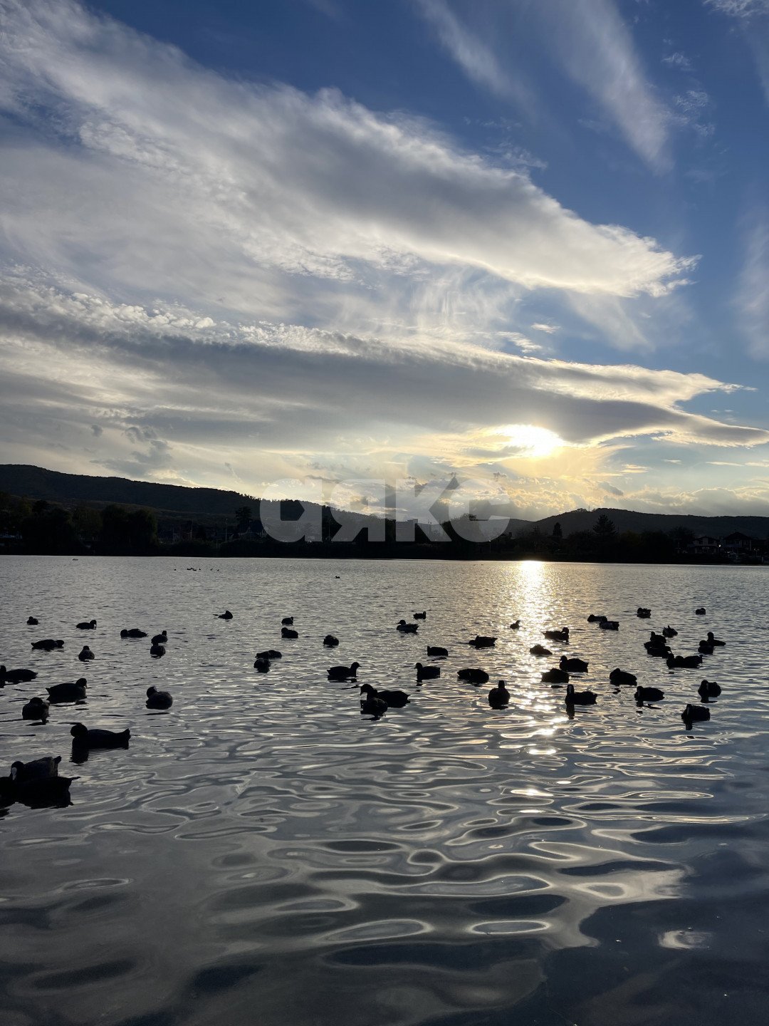 Фото №39: 3-комнатная квартира 98 м² - Горячий Ключ, Администрация, мкр. Администрация, ул. Псекупская, 151В