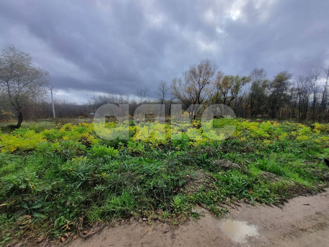 Фото №7: Земельный участок под ИЖС 6 сот. - Саратовская, ул. Шоссейная