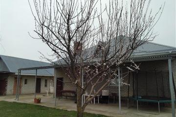 Фото №2: Дом 150 м² - Болгов, ул. Советская, 33