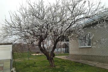 Фото №3: Дом 150 м² - Болгов, ул. Советская, 33